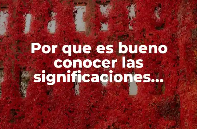 Por que es Bueno Conocer las Significaciones Imaginarias