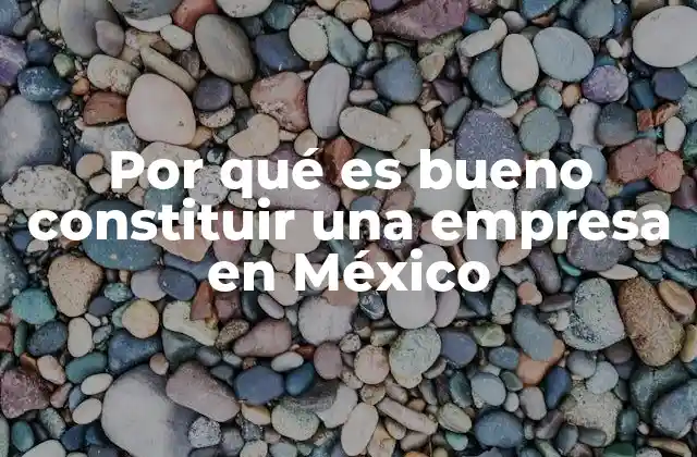 Por Qué es Bueno Constituir una Empresa en México