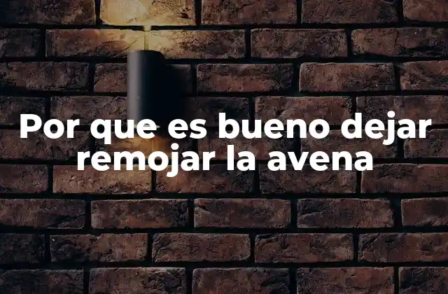 Por que es Bueno Dejar Remojar la Avena