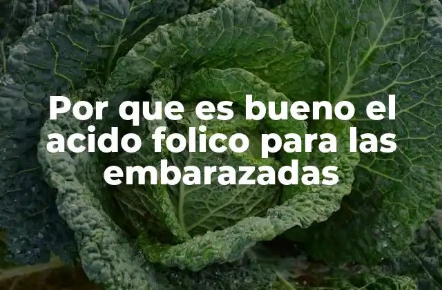 Por que es Bueno el Acido Folico para las Embarazadas