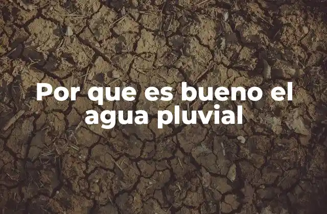 Por que es Bueno el Agua Pluvial