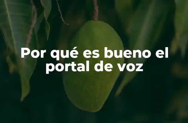 Por Qué es Bueno el Portal de Voz