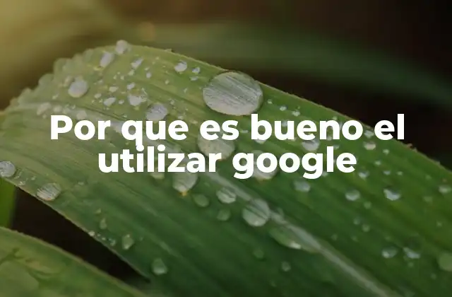 Por que es Bueno el Utilizar Google