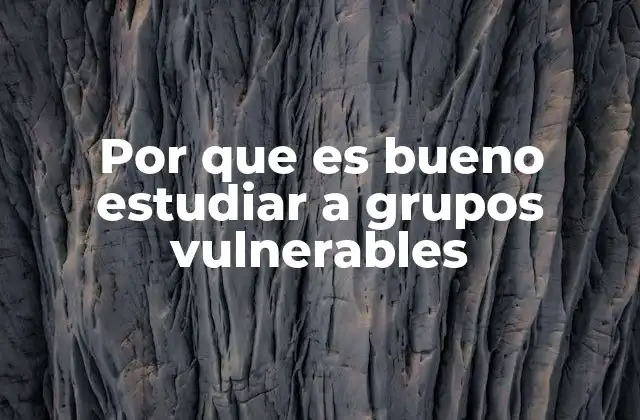 Por que es Bueno Estudiar a Grupos Vulnerables 2 El impacto del estudio de grupos en situación de riesgo en la sociedad