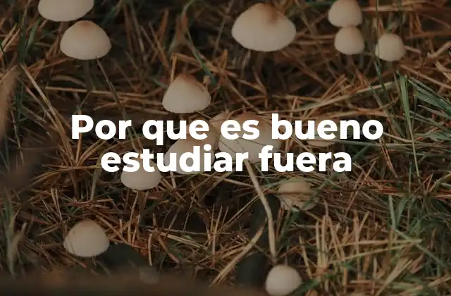 Por que es Bueno Estudiar Fuera