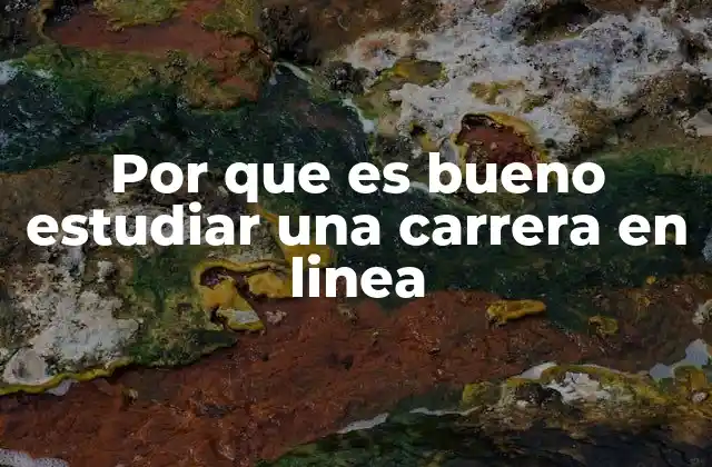 Por que es Bueno Estudiar una Carrera en Linea