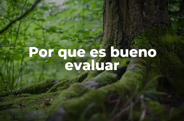 Por que es Bueno Evaluar