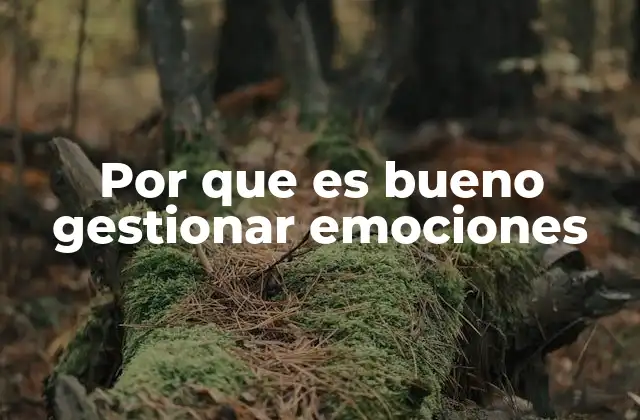 Por que es Bueno Gestionar Emociones