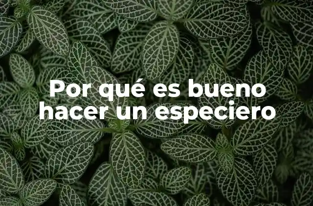 La importancia de un espacio dedicado a las especias