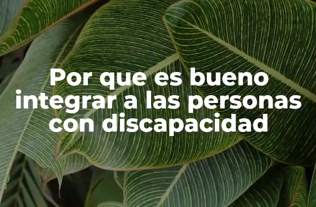 Por que es Bueno Integrar a las Personas con Discapacidad