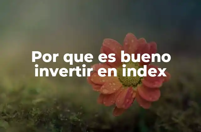 Por que es Bueno Invertir en Index