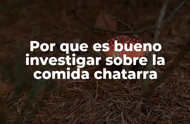 Por que es Bueno Investigar sobre la Comida Chatarra