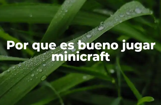 Por que es Bueno Jugar Minicraft