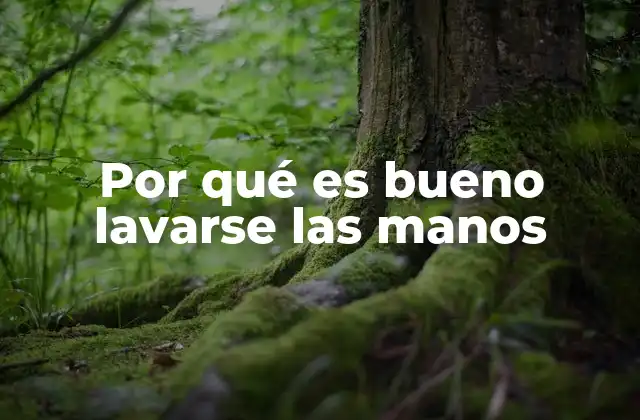 Por Qué es Bueno Lavarse las Manos