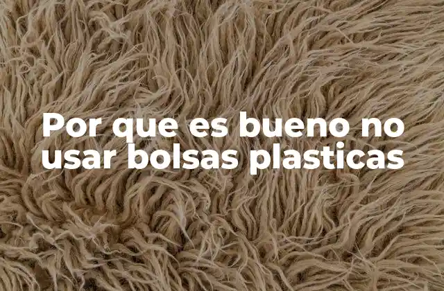 Por que es Bueno No Usar Bolsas Plasticas