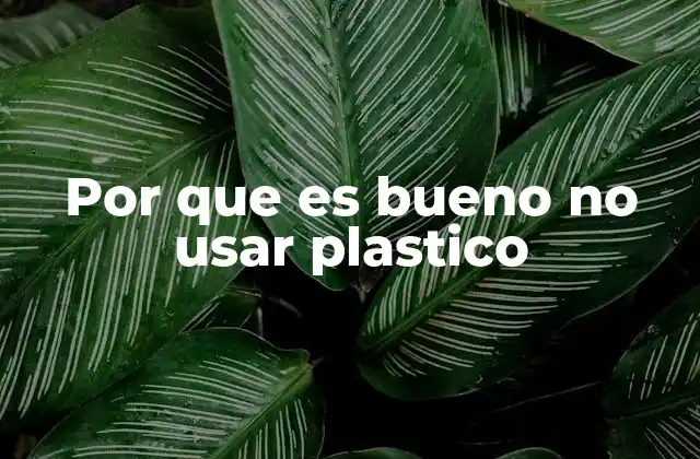 Por que es Bueno No Usar Plastico