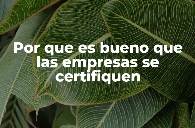 Por que es Bueno que las Empresas Se Certifiquen