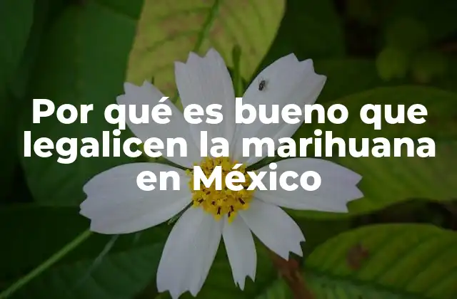 Por Qué es Bueno que Legalicen la Marihuana en México