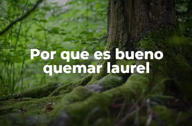 Por que es Bueno Quemar Laurel