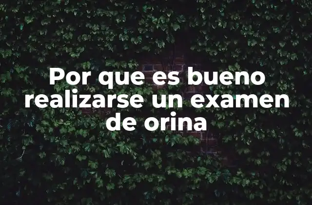 Por que es Bueno Realizarse un Examen de Orina