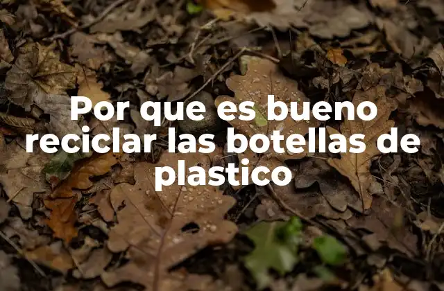 Por que es Bueno Reciclar las Botellas de Plastico