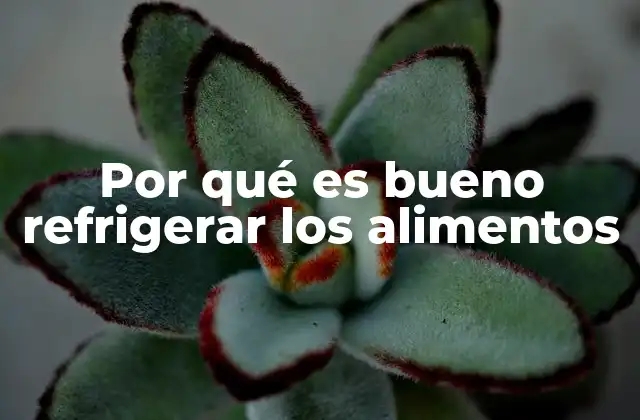 La importancia de mantener una cadena de frío adecuada en la cocina