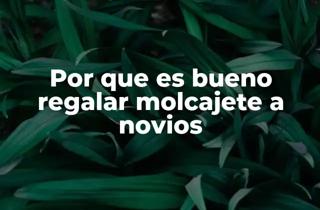 Por que es Bueno Regalar Molcajete a Novios 2 El molcajete como símbolo de unión y tradición en la vida en pareja