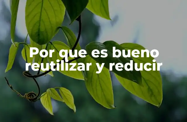 Por que es Bueno Reutilizar y Reducir