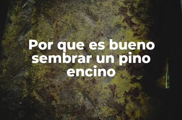Por que es Bueno Sembrar un Pino Encino
