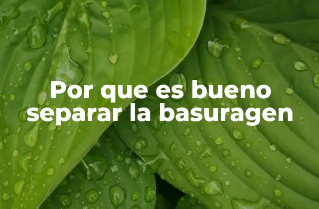 Por que es Bueno Separar la Basuragen