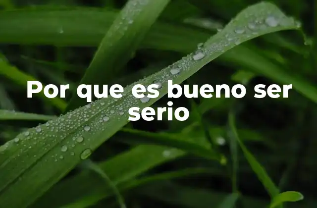 Por que es Bueno Ser Serio