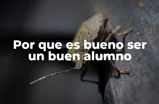 Por que es Bueno Ser un Buen Alumno