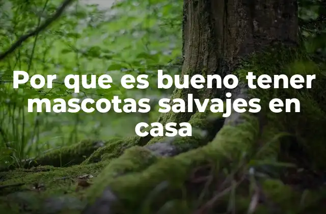 Por que es Bueno Tener Mascotas Salvajes en Casa