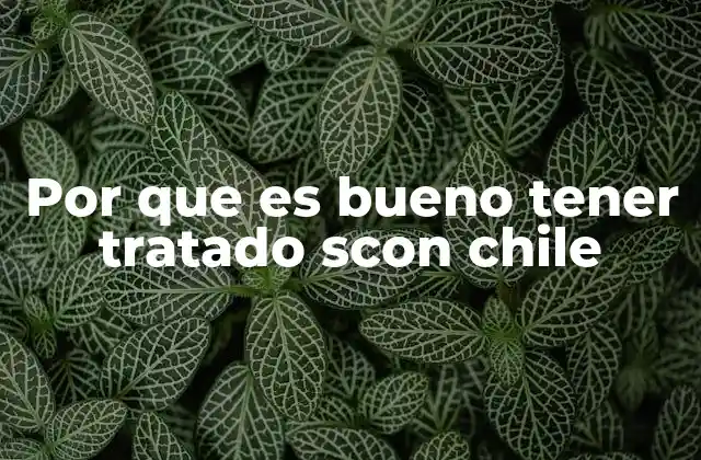 Por que es Bueno Tener Tratado Scon Chile