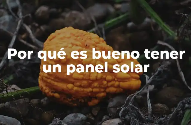 Por Qué es Bueno Tener un Panel Solar