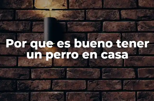 Por que es Bueno Tener un Perro en Casa
