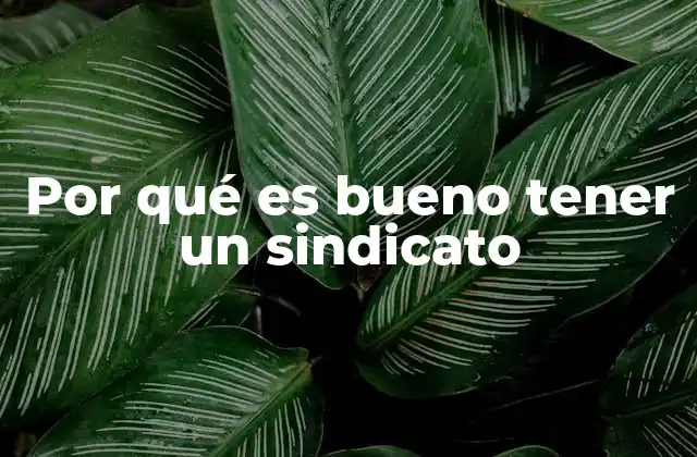 Por Qué es Bueno Tener un Sindicato