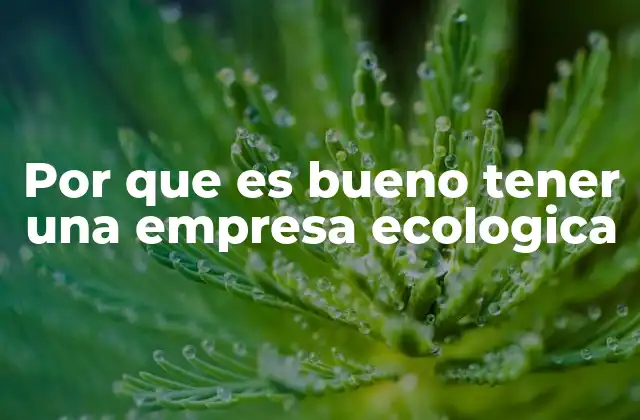 Por que es Bueno Tener una Empresa Ecologica