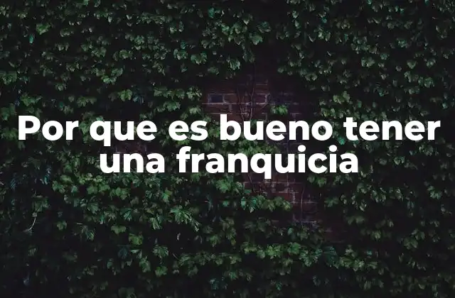 Ventajas de contar con un modelo de negocio ya probado