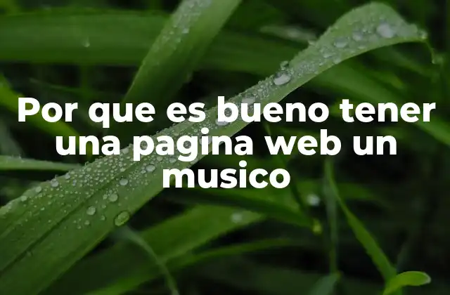 Por que es Bueno Tener una Pagina Web un Musico