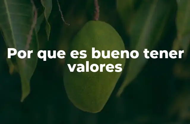 Por que es Bueno Tener Valores