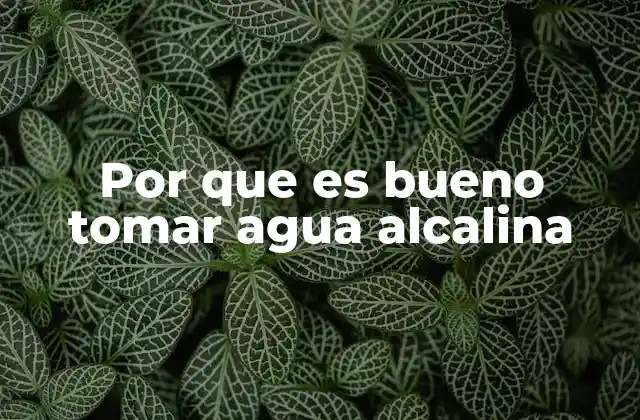 Por que es Bueno Tomar Agua Alcalina