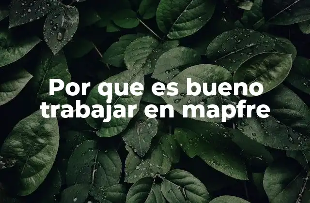 Por que es Bueno Trabajar en Mapfre