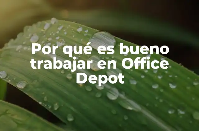 Por Qué es Bueno Trabajar en Office Depot