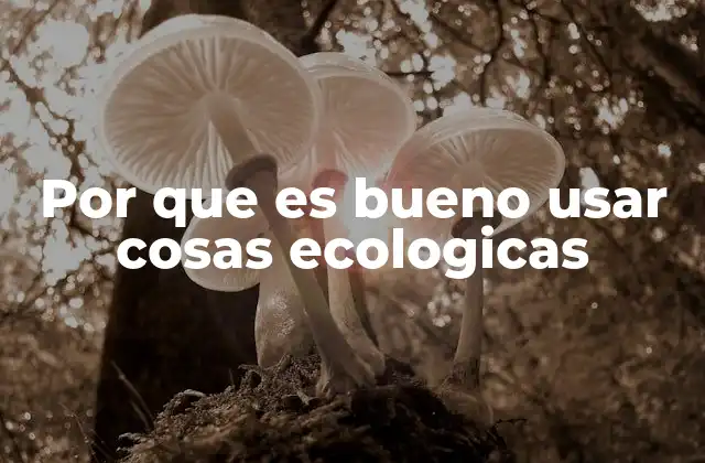 Por que es Bueno Usar Cosas Ecologicas