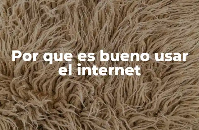 Por que es Bueno Usar el Internet