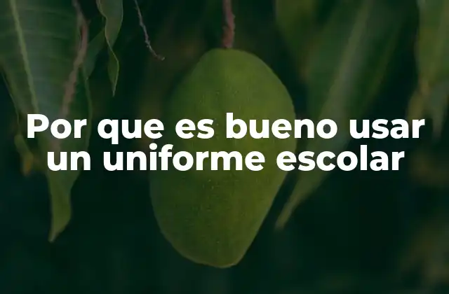 Por que es Bueno Usar un Uniforme Escolar