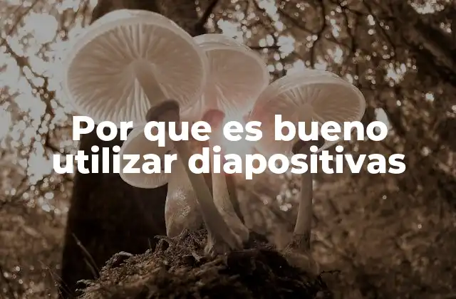 Por que es Bueno Utilizar Diapositivas