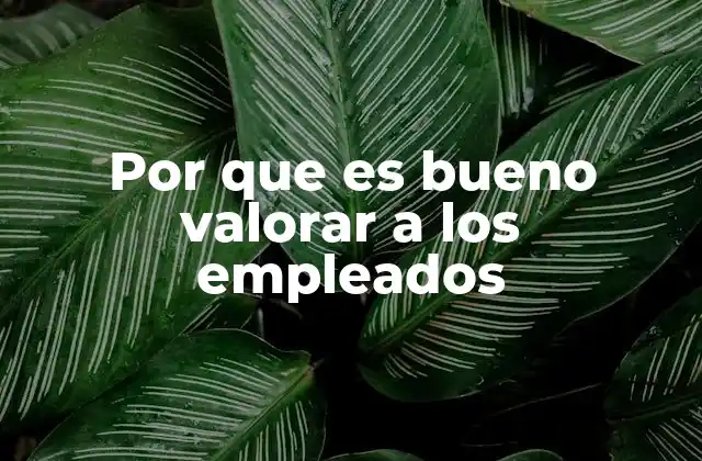 Por que es Bueno Valorar a los Empleados