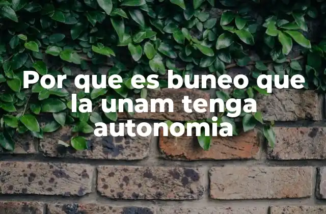 Por que es Buneo que la Unam Tenga Autonomia